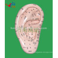 HR-514A vivid ear massager model(17 cm ),acupuncture ear massager